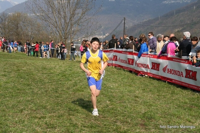 Clicca per vedere l'immagine alla massima grandezza