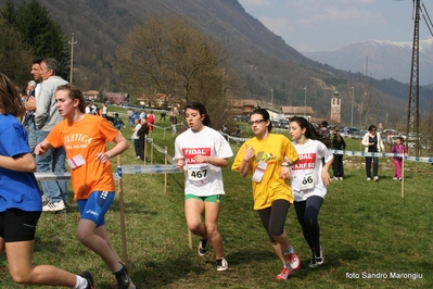 Clicca per vedere l'immagine alla massima grandezza