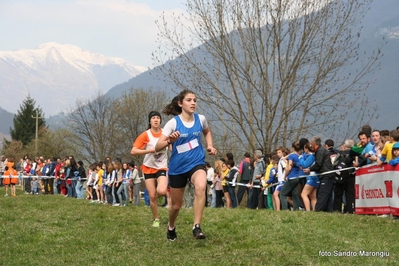 Clicca per vedere l'immagine alla massima grandezza
