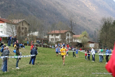 Clicca per vedere l'immagine alla massima grandezza