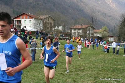 Clicca per vedere l'immagine alla massima grandezza