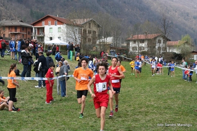 Clicca per vedere l'immagine alla massima grandezza