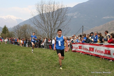 Clicca per vedere l'immagine alla massima grandezza