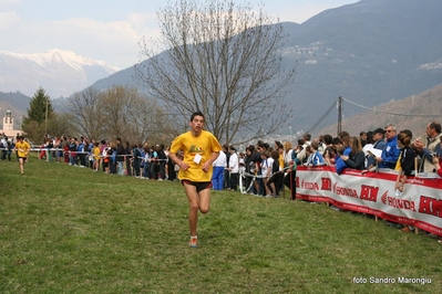 Clicca per vedere l'immagine alla massima grandezza