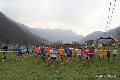 Clicca per vedere l'immagine alla massima grandezza