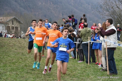 Clicca per vedere l'immagine alla massima grandezza