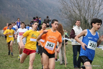 Clicca per vedere l'immagine alla massima grandezza