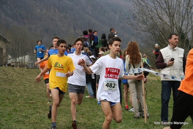 Clicca per vedere l'immagine alla massima grandezza