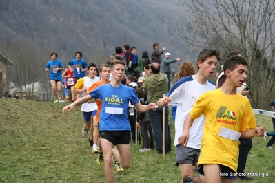 Clicca per vedere l'immagine alla massima grandezza