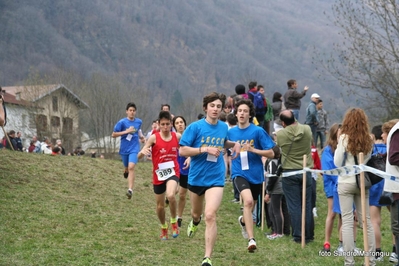 Clicca per vedere l'immagine alla massima grandezza