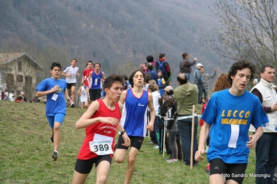 Clicca per vedere l'immagine alla massima grandezza