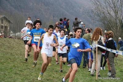 Clicca per vedere l'immagine alla massima grandezza