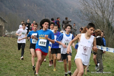 Clicca per vedere l'immagine alla massima grandezza