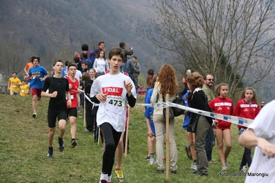 Clicca per vedere l'immagine alla massima grandezza
