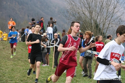 Clicca per vedere l'immagine alla massima grandezza