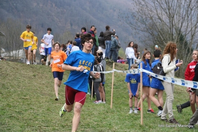 Clicca per vedere l'immagine alla massima grandezza