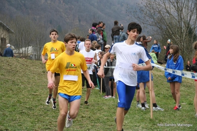 Clicca per vedere l'immagine alla massima grandezza