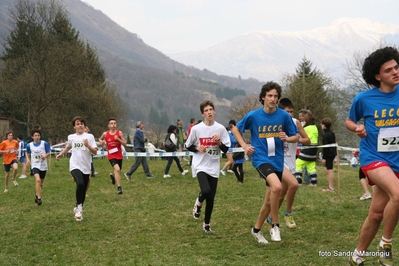 Clicca per vedere l'immagine alla massima grandezza