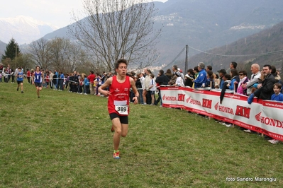 Clicca per vedere l'immagine alla massima grandezza