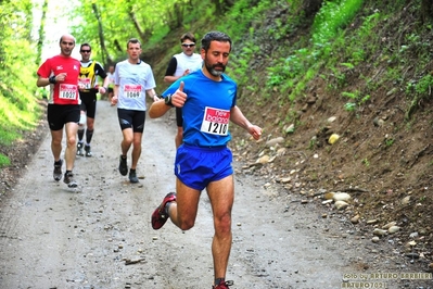 Clicca per vedere l'immagine alla massima grandezza