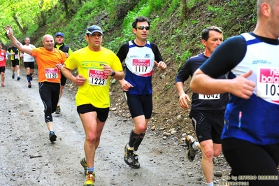 Clicca per vedere l'immagine alla massima grandezza