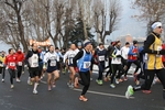 IMG_8281.jpg