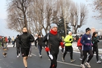 IMG_8382.jpg