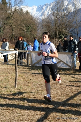 Clicca per vedere l'immagine alla massima grandezza