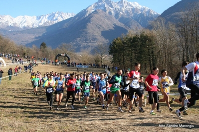 Clicca per vedere l'immagine alla massima grandezza