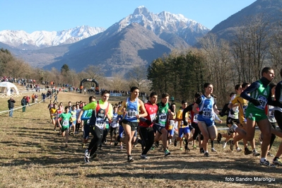 Clicca per vedere l'immagine alla massima grandezza