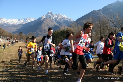 Clicca per vedere l'immagine alla massima grandezza