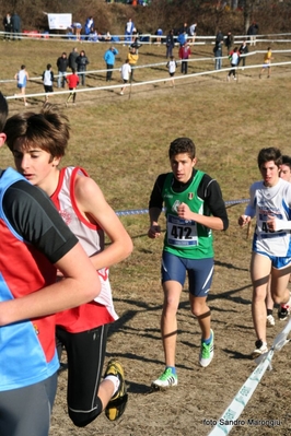 Clicca per vedere l'immagine alla massima grandezza