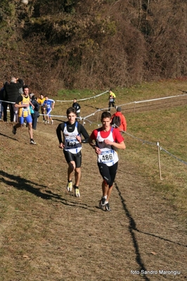 Clicca per vedere l'immagine alla massima grandezza