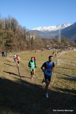 Clicca per vedere l'immagine alla massima grandezza