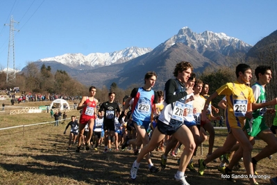 Clicca per vedere l'immagine alla massima grandezza