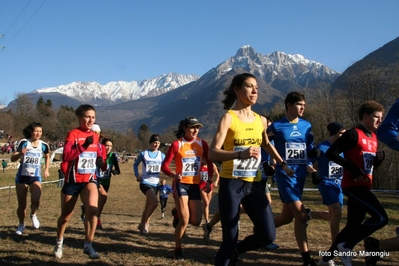 Clicca per vedere l'immagine alla massima grandezza