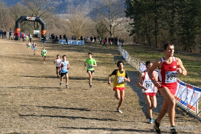 Clicca per vedere l'immagine alla massima grandezza