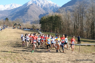 Clicca per vedere l'immagine alla massima grandezza