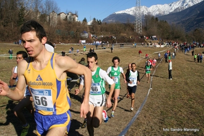 Clicca per vedere l'immagine alla massima grandezza