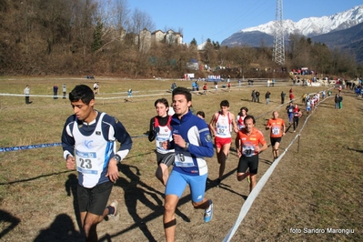 Clicca per vedere l'immagine alla massima grandezza