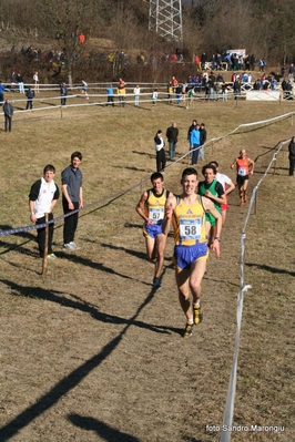 Clicca per vedere l'immagine alla massima grandezza