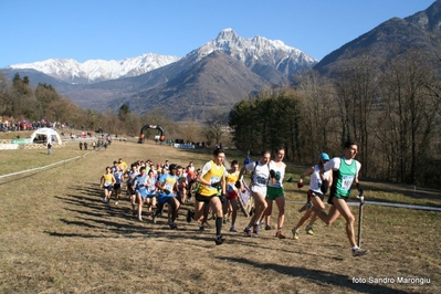 Clicca per vedere l'immagine alla massima grandezza