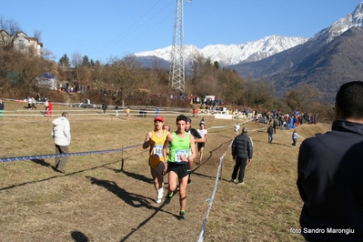 Clicca per vedere l'immagine alla massima grandezza