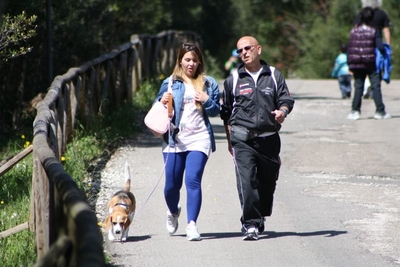 Clicca per vedere l'immagine alla massima grandezza