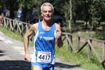 piane1_474.jpg