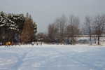 P1110855.jpg