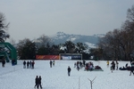 P1120020.jpg