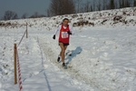 P1120118.jpg