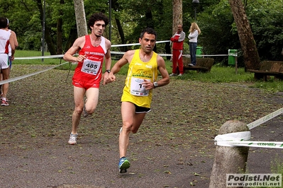 Clicca per vedere l'immagine alla massima grandezza