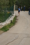 mod_718.jpg